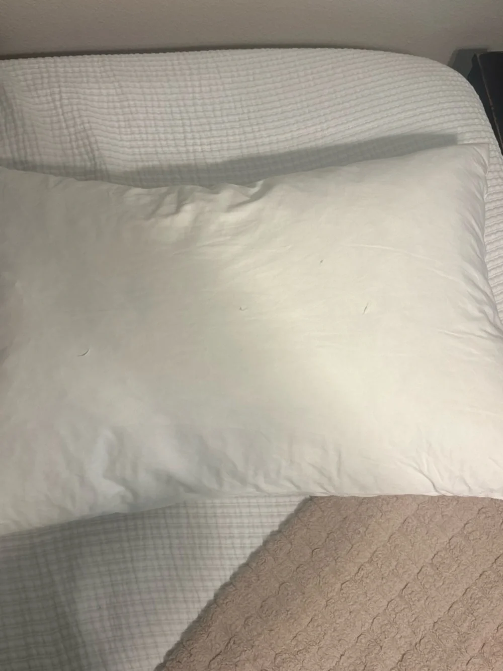 Pottery Barn Classic White Feather Pillow – Soft Cotton Cover (White)
